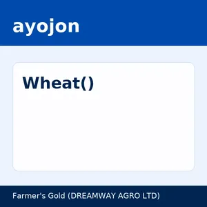 Wheat(গম)