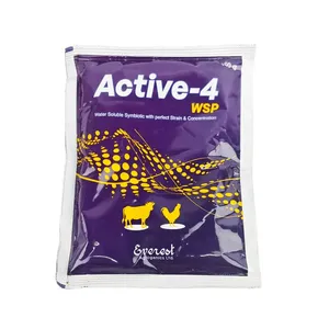 Active-4 WSP Powder 100g